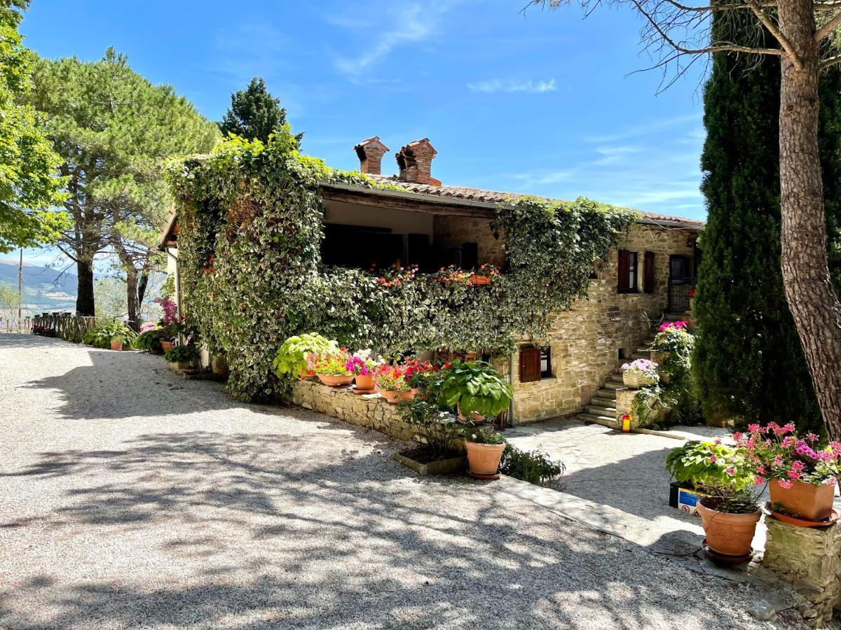 La Panoramica Gubbio - Maison De Charme - Casette E Appartamenti Self Catering Per Vacanze Meravigliose! Eksteriør billede