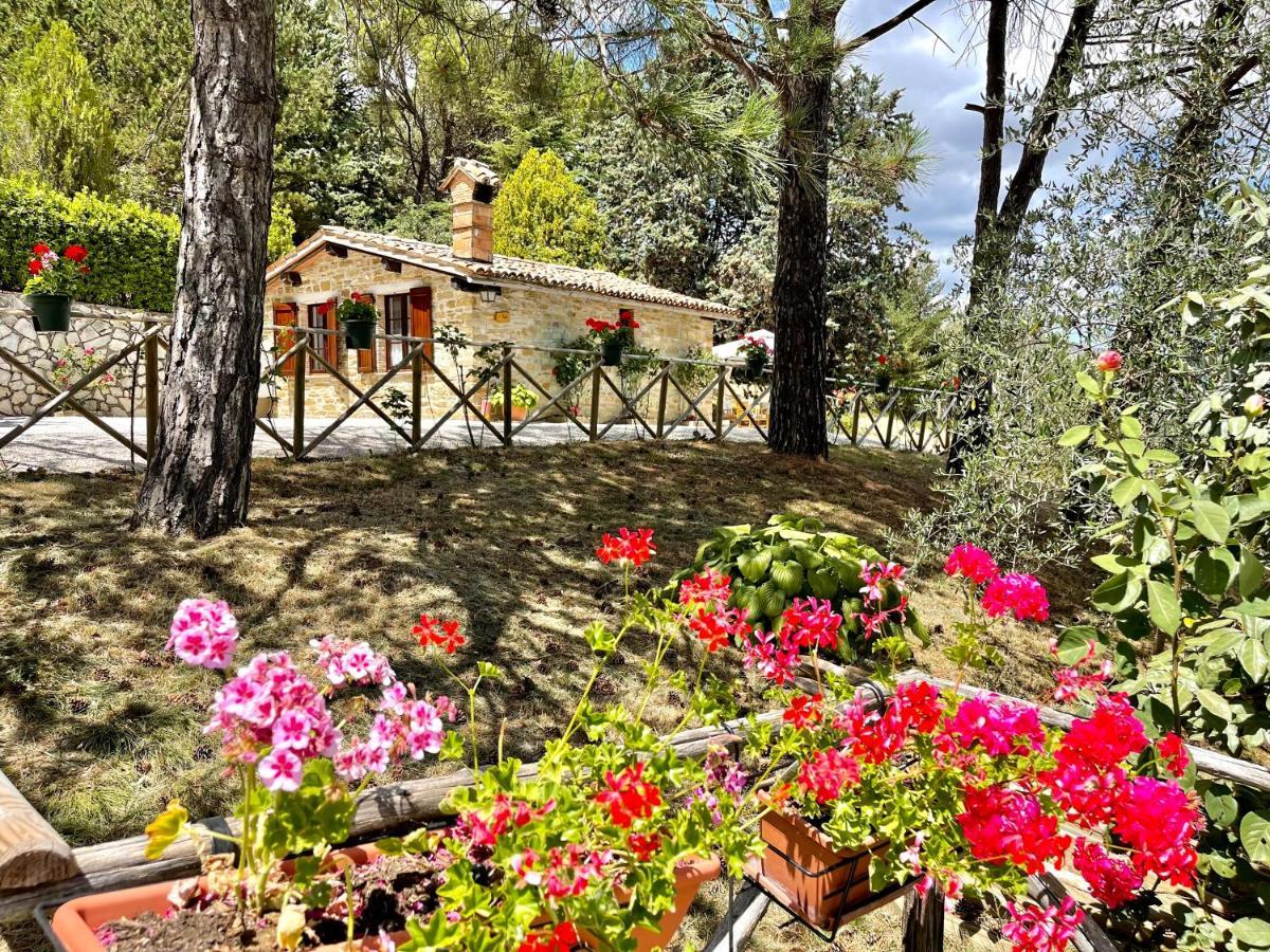 La Panoramica Gubbio - Maison De Charme - Casette E Appartamenti Self Catering Per Vacanze Meravigliose! Eksteriør billede