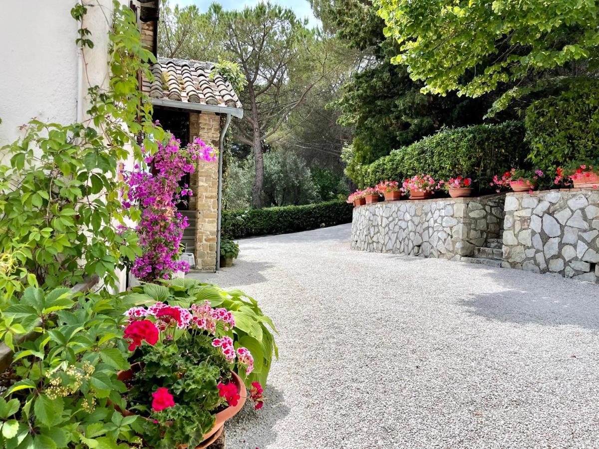 La Panoramica Gubbio - Maison De Charme - Casette E Appartamenti Self Catering Per Vacanze Meravigliose! Eksteriør billede