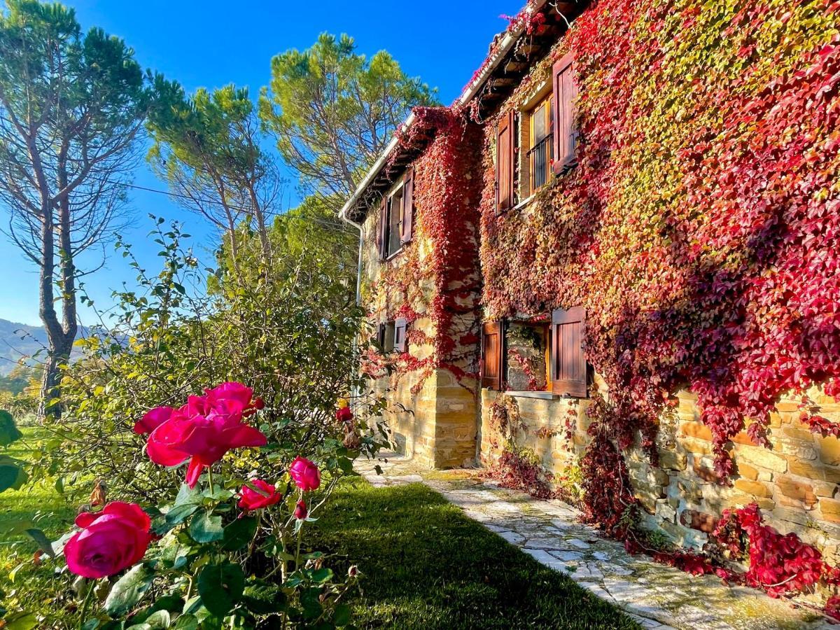 La Panoramica Gubbio - Maison De Charme - Casette E Appartamenti Self Catering Per Vacanze Meravigliose! Eksteriør billede