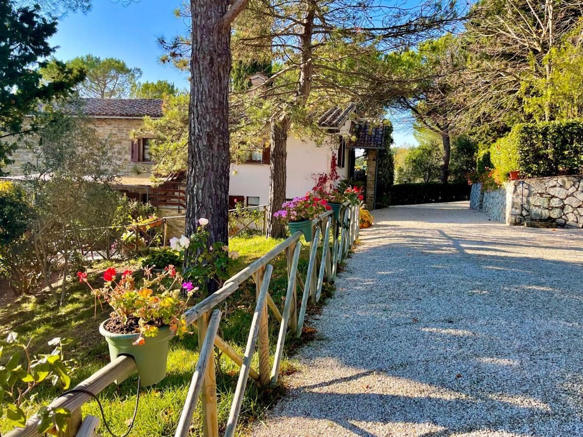 La Panoramica Gubbio - Maison De Charme - Casette E Appartamenti Self Catering Per Vacanze Meravigliose! Eksteriør billede