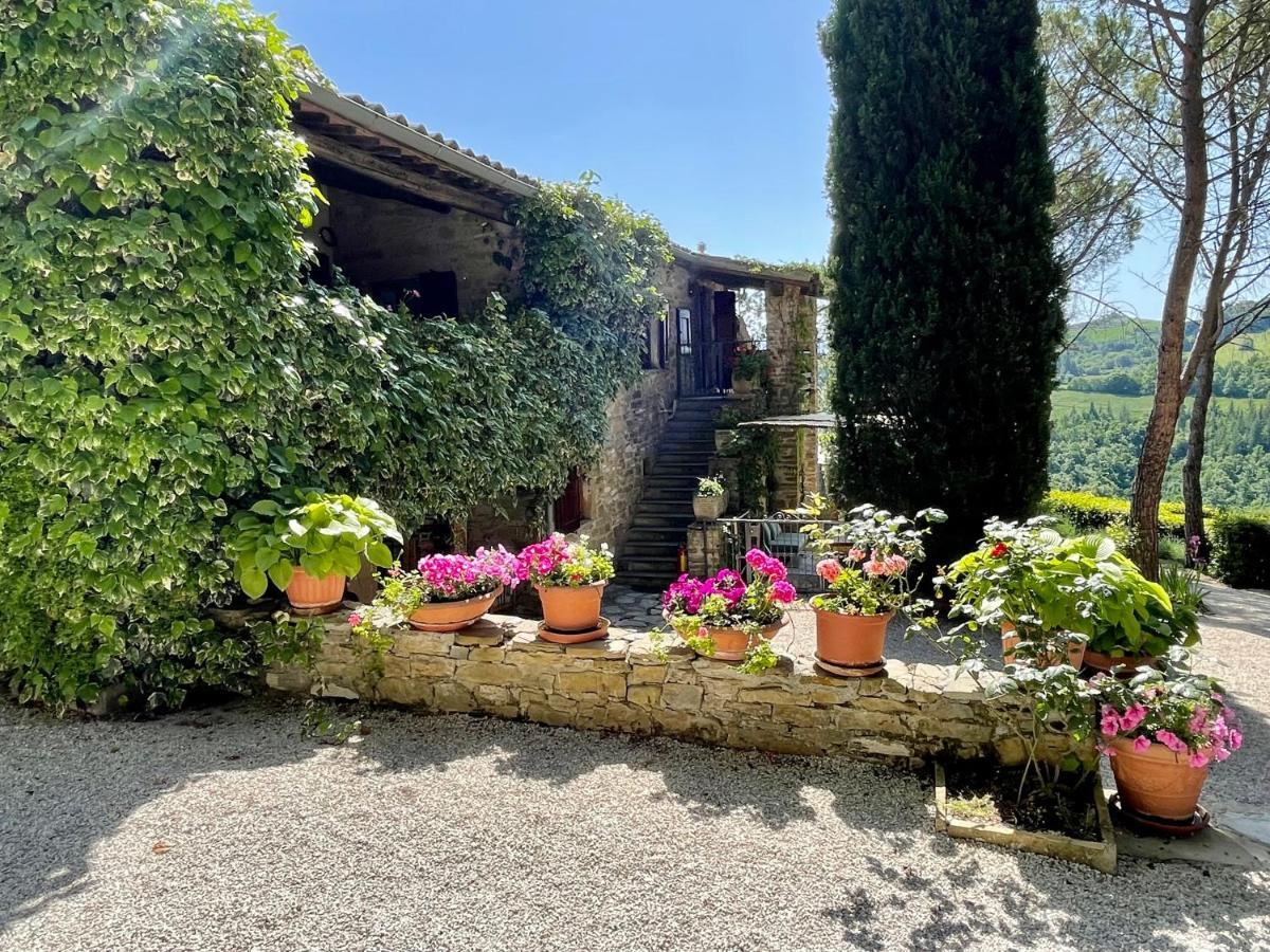 La Panoramica Gubbio - Maison De Charme - Casette E Appartamenti Self Catering Per Vacanze Meravigliose! Eksteriør billede