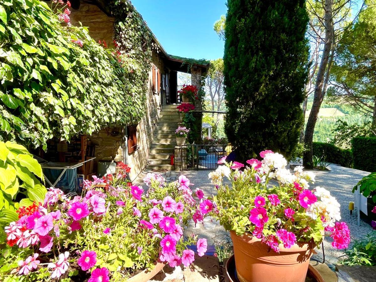 La Panoramica Gubbio - Maison De Charme - Casette E Appartamenti Self Catering Per Vacanze Meravigliose! Eksteriør billede